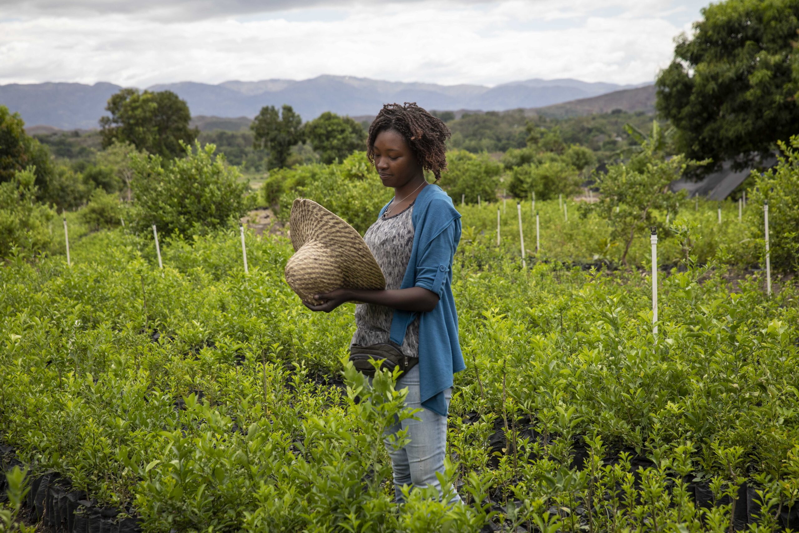 W2A0520FernandaPineda_RoseChrista-scaled